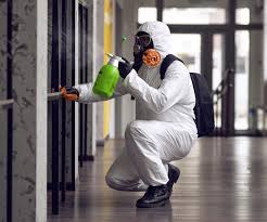 Best Biohazard Mold Removal  in Spring Valley, CA