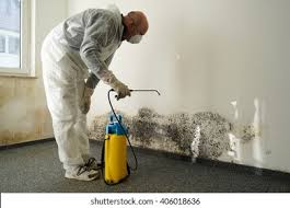 Best Comprehensive Air Testing for Mold Contaminants  in Spring Valley, CA